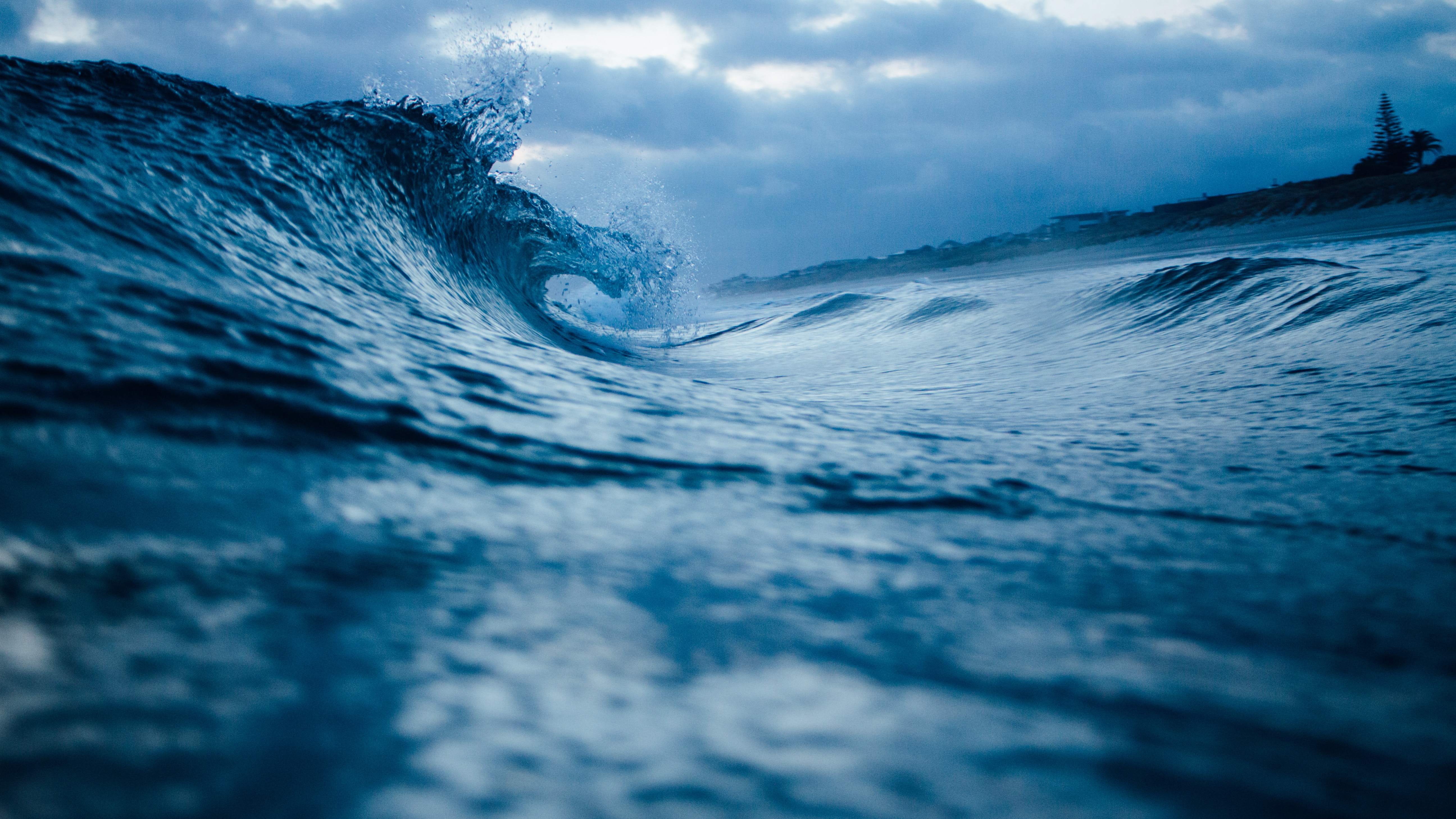 Riding the Waves of Emotion » Soul Ninja
