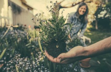 skillful means gardening