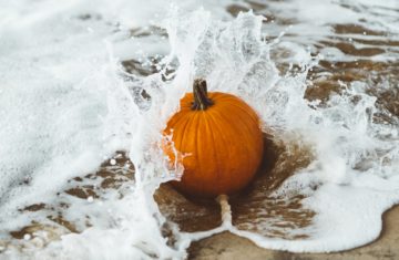 pumpkins and stones