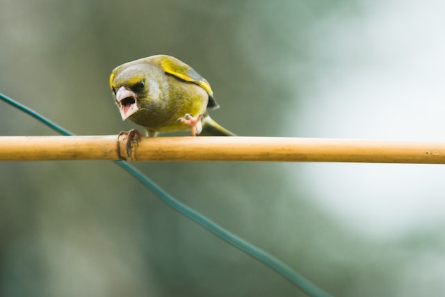 tame your anger